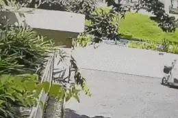 夏日街头常见的它，可能有大隐患！图片