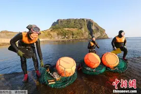 “请帮帮我们”，韩国海女发声抗议福岛核污染水排海图片