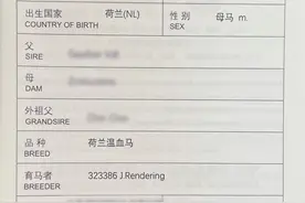 百余匹赛马从各地赴杭州参加亚运会，如何平安到达？图片