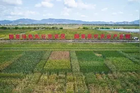 2025种子大会暨南繁硅谷论坛将在三亚举办图片