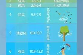 北方多地将出现强风 如何防御避免“风险”？图片