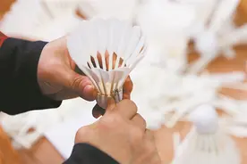 传统羽毛球过去三年为何价格飞涨，仿真球“上位”指日可待图片