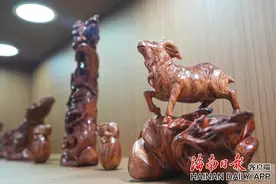 2024国际沉香花梨展览会开展 精品名品珍品一展尽览图片
