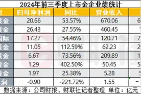 金价屡创历史新高 金企业绩亮眼忙增储 “长牛”趋势仍存丨年终盘点图片