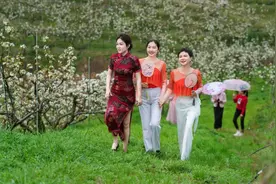 春风十里 且以诗意共远方——清明假期湖南文旅市场观察图片