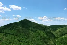 岱岳区道朗镇大王村：手工“老”粉皮 旋出新活力图片