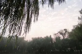 人在旅途|再听一次《四世同堂》图片