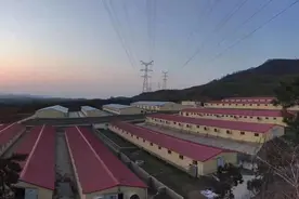 浙商银行济南分行“五融模式”助力生猪养殖业穿越“猪周期”图片