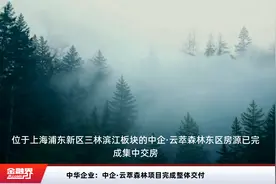 中华企业：中企·云萃森林项目完成整体交付视频封面