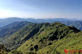 云南宁洱千余名护林员用脚丈量山林 守护家园图片