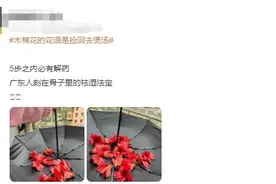 广东阿妈爱的“祛湿法宝”满街都能捡？注意！这些野菜没晒干有毒图片