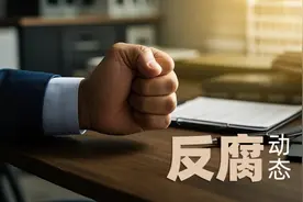 搞权色、钱色交易的老虎，被逮捕图片