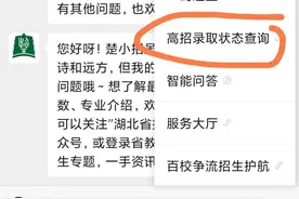 湖北2025高考录取状态查询方式公布，含四种查询途径图片