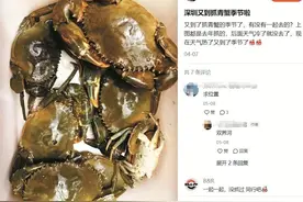 “到红树林抓青蟹”引众人效仿 专家喊话市民和游客 请你来亲海不是去赶海图片