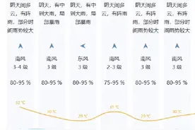 你被深圳的雷声吵醒了吗？图片