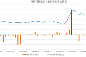 【深度】融券业务争议背后：揭秘A股变相“T+0”大杀器图片