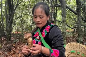 楚雄南华：绿水青山满目新图片