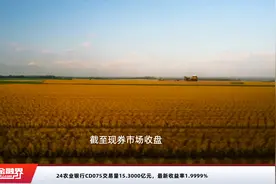 24农业银行CD075交易量15.3000亿元，最新收益率1.9999%视频封面