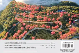 【入库案例解读】从“上海行人闯红灯案”谈交通肇事罪的司法认定——《周某刚交通肇事案》解读图片