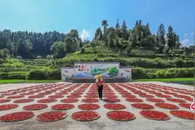 湖南泸溪兴隆场镇：擦亮国家农业产业强镇名片图片