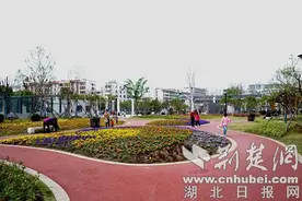 枣阳城市建设展新颜 宜居宜业“双提升”图片