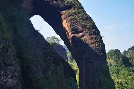 太用力、太刻意的人生，是一场灾难图片