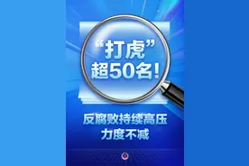 一年“打虎”超50名！反腐败持续高压力度不减图片