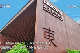 专家点评“打擂台”：曹江镇如何寻农文旅出圈之道？图片