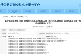长浏磁浮最新消息来了图片