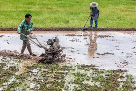 谷雨时节农事忙图片