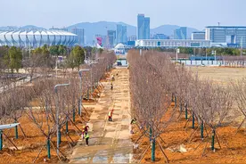 黄石奥体公园提档升级工程图片