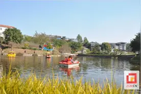 自贡：乡村年味浓，永安镇郁金香吸引游客打卡图片