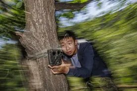 燕山野生动物调查图片