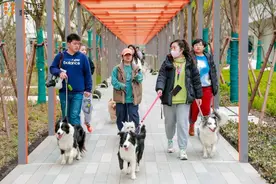 宠物友好社区，年轻人与城市的精神链接图片