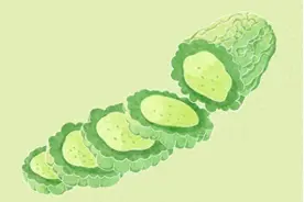 夏季吃5种苦菜补一补丨每日话题图片