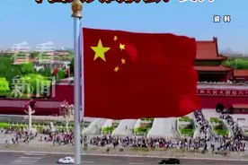 豌豆加100% 中国对加拿大部分进口商品加税图片