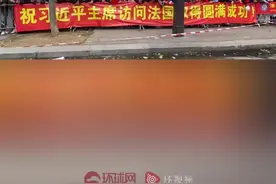 巴黎现场视频！当地华人华侨与留学生手持中法国旗与横幅欢迎习主席到来图片