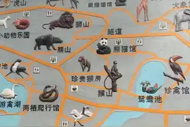 杭州动物园大熊猫馆开馆 “春生”“香果”正式与公众见面图片