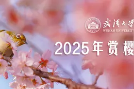 发布！武汉大学2025年赏樱政策图片