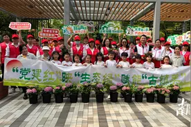 岭南天地八图里更美了！营造“绿美客厅”他们在行动图片