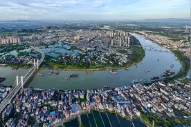 水利部珠江委首次开展西江干流水生态保护目标调查评价图片