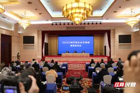 长沙占榜半壁江山 2024三湘民企百强营收总额破万亿图片