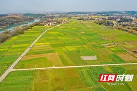 道县：人居环境出实招 美丽乡村入画来图片