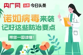 一图读懂  |  诺如病毒高发季  记好这些防治要点图片