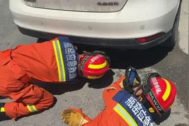 吓傻！杭州男子上车时，突然看到它！瞬间转头就逃...图片
