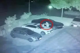 用涉黄小卡片为电信网络诈骗引流 潍坊警方抓获百余名涉诈“地推”引流团伙成员图片