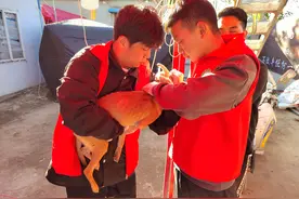 南阳农业职业学院志愿者赴周口开展流浪犬免疫救助志愿服务图片