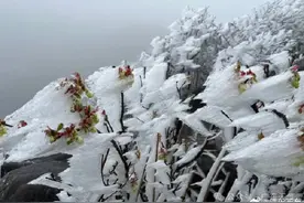明起广东阴雨趋于结束，气温回升图片