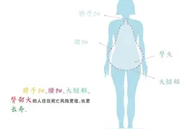人体尺寸藏健康密码 | 脖围和腰围喜欢细，四肢和臀部喜欢粗图片