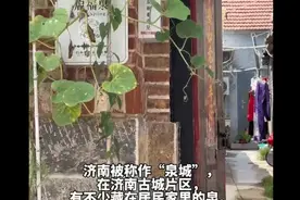 果然视频｜“泉城”济南，泉水也藏在居民家里图片